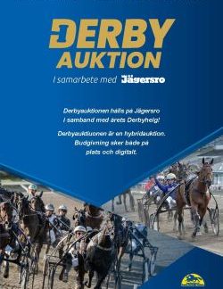 Auktionskatalog Derbyauktion 2025 - Utomlands